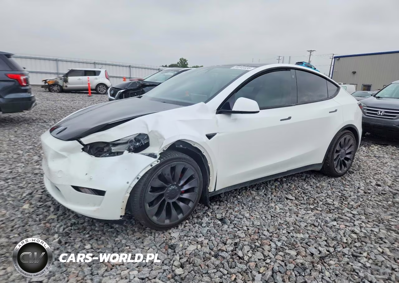 2021 Tesla Model Y