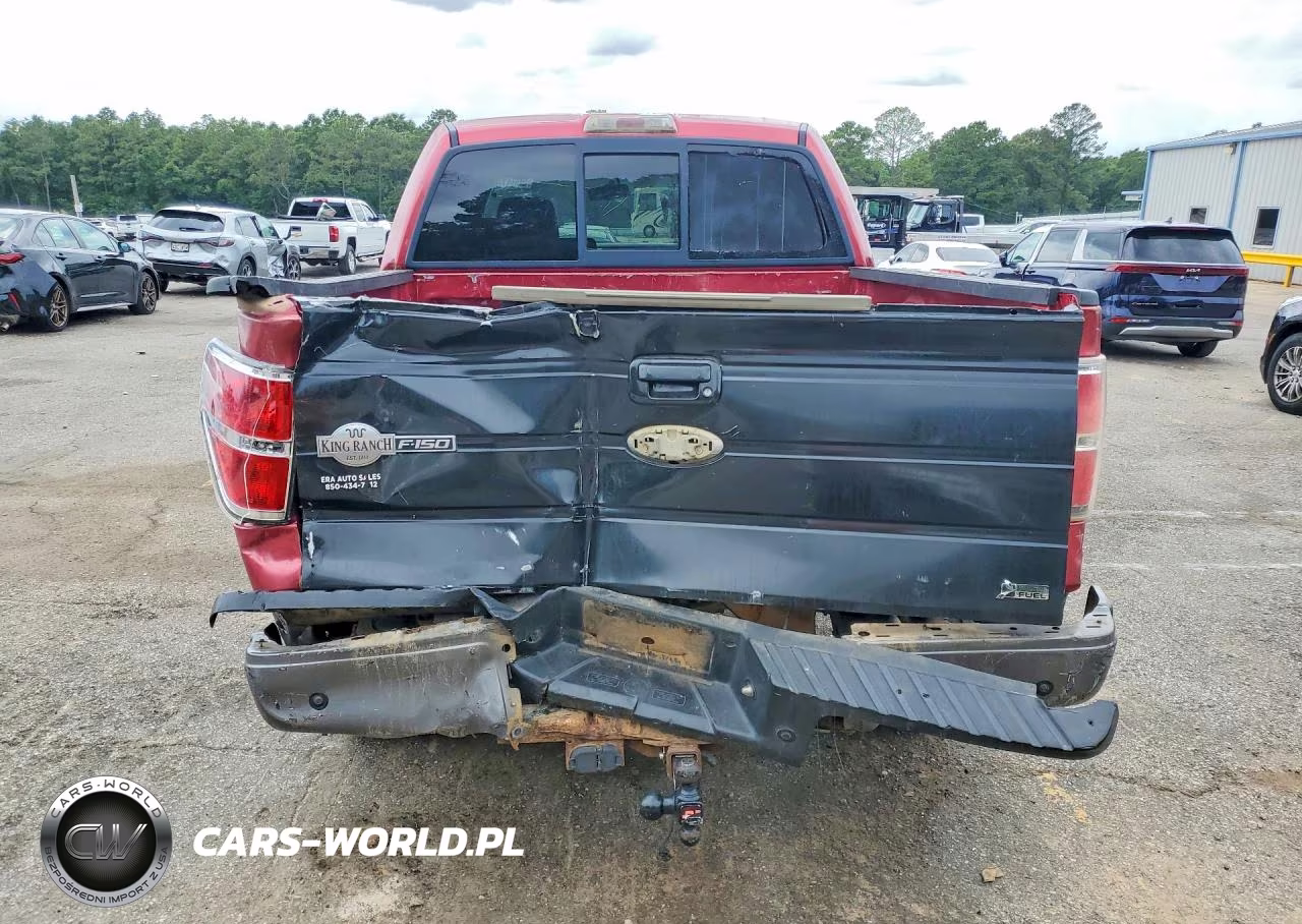 2009 Ford F150 Supercrew VIN:1FTPW14V79FB16301 - 6