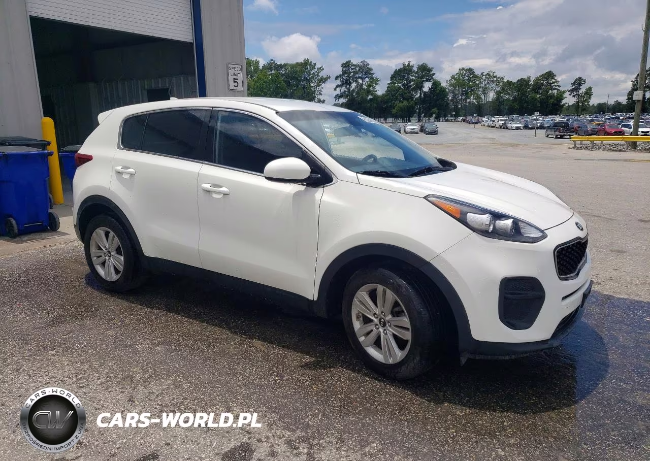 2018 Kia Sportage Lx VIN:KNDPM3AC9J7443835 - 4