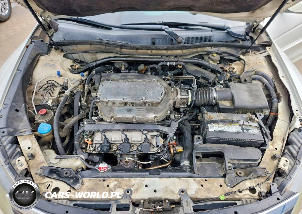 2010 Honda Accord Crosstour Exl VIN:5J6TF1H52AL006166 - 12