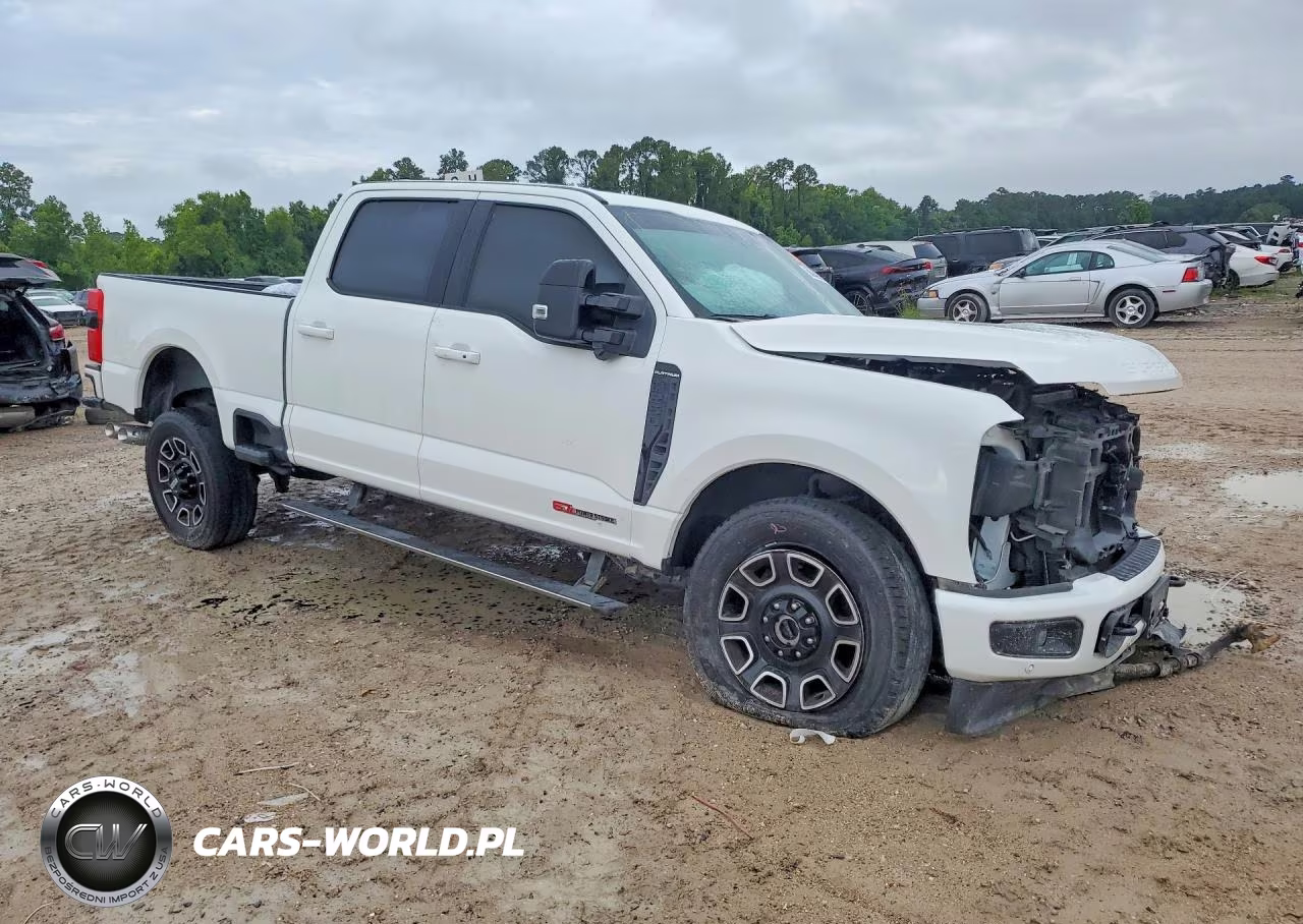 2025 Ford F250 Super Duty VIN:1FT8W2BM5SEC40499 - 4