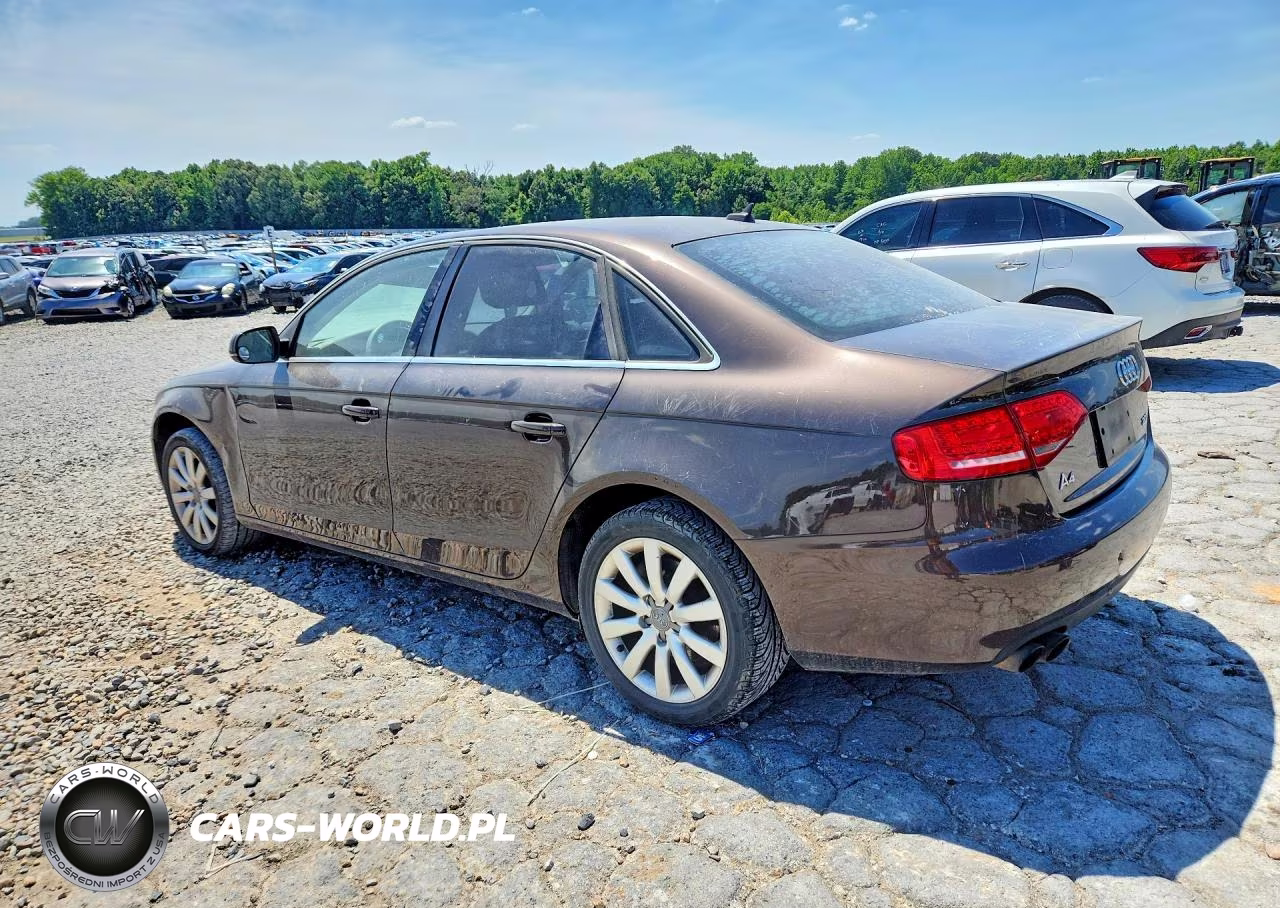 2011 Audi A4 Premium Plus VIN:WAUEFAFL8BN054502 - 2