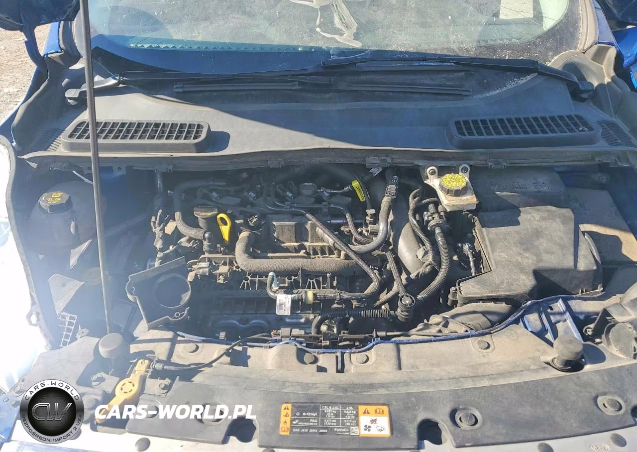 2019 Ford Escape Se VIN:1FMCU0GD7KUB85262 - 12