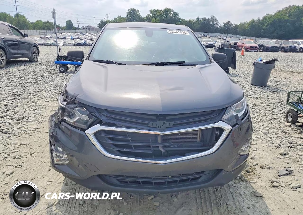 2019 Chevrolet Equinox Ls VIN:3GNAXSEV3KL342071 - 5