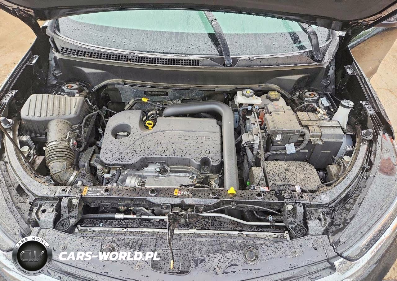 2024 Chevrolet Equinox Lt VIN:3GNAXKEG2RL331543 - 11