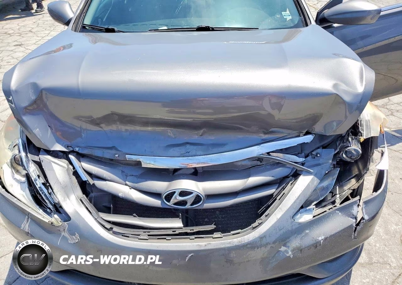 2013 Hyundai Sonata Gls VIN:5NPEB4AC4DH636087 - 11