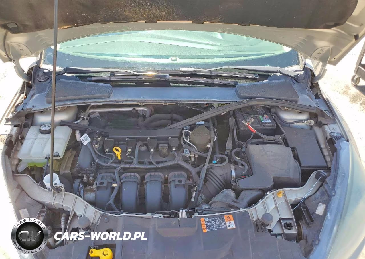 2015 Ford Focus Se VIN:1FADP3F26FL314188 - 11