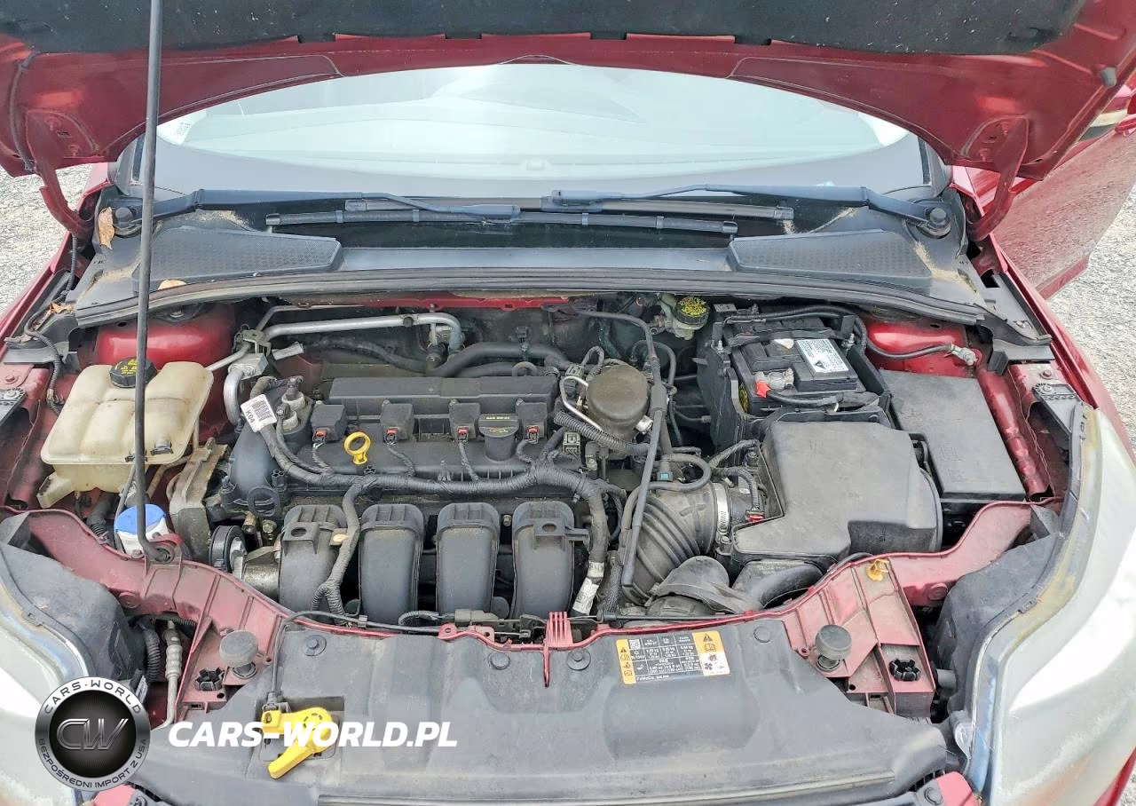 2014 Ford Focus Titanium VIN:1FADP3J2XEL312255 - 11