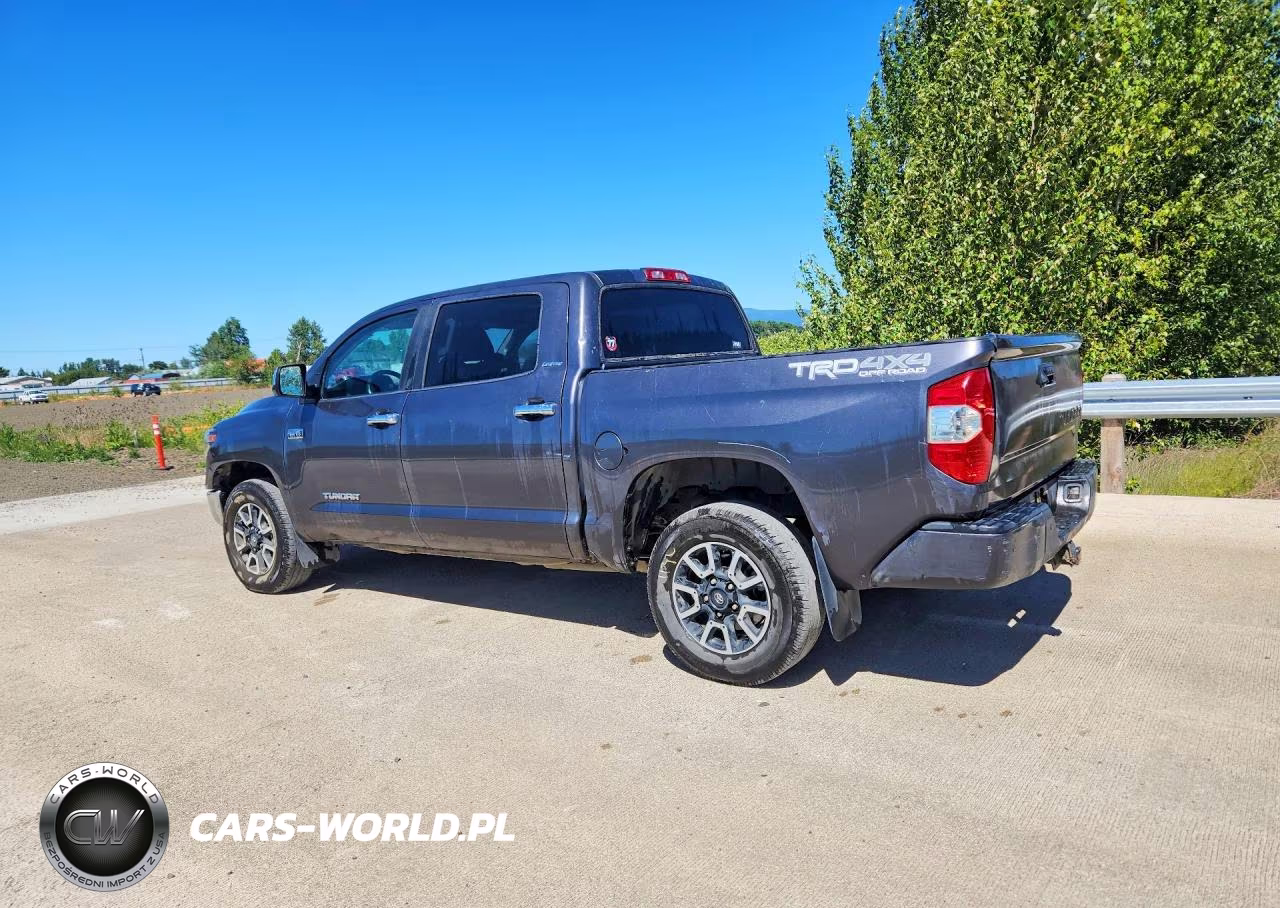 2019 Toyota Tundra Crewmax Limited VIN:5TFHY5F12KX821698 - 2