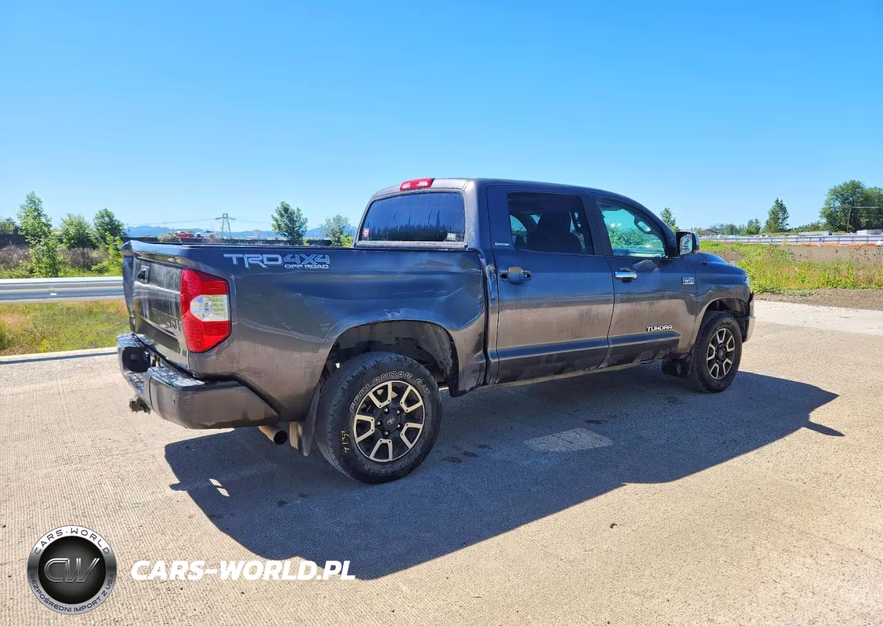 2019 Toyota Tundra Crewmax Limited VIN:5TFHY5F12KX821698 - 3