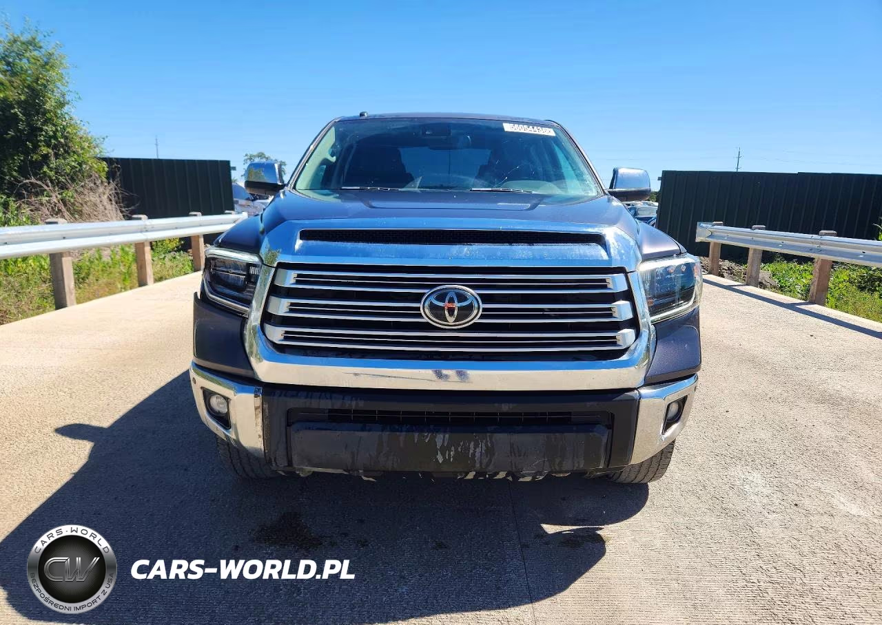 2019 Toyota Tundra Crewmax Limited VIN:5TFHY5F12KX821698 - 5