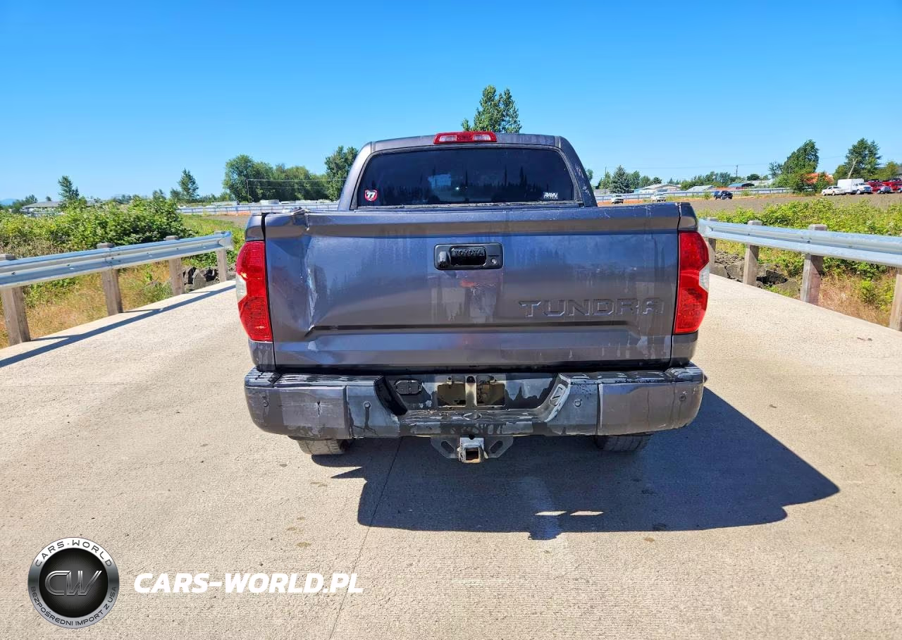 2019 Toyota Tundra Crewmax Limited VIN:5TFHY5F12KX821698 - 6