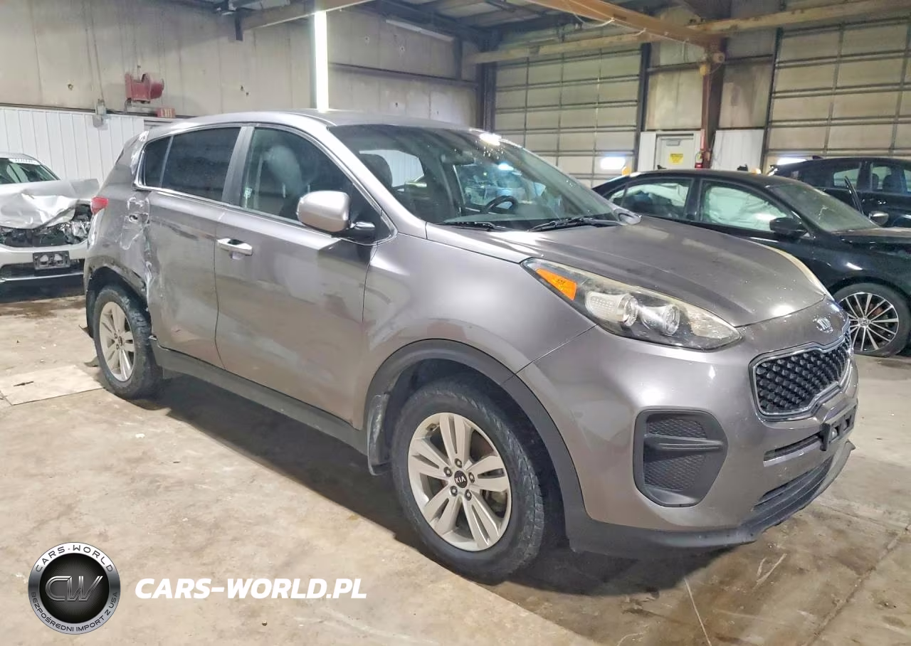 2019 Kia Sportage Lx VIN:KNDPM3AC5K7548373 - 4