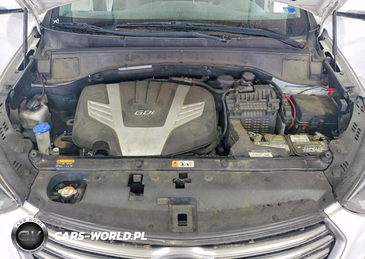 2019 Hyundai Santa Fe Xl Limited Ultimate VIN:KM8SRDHF1KU298208 - 12