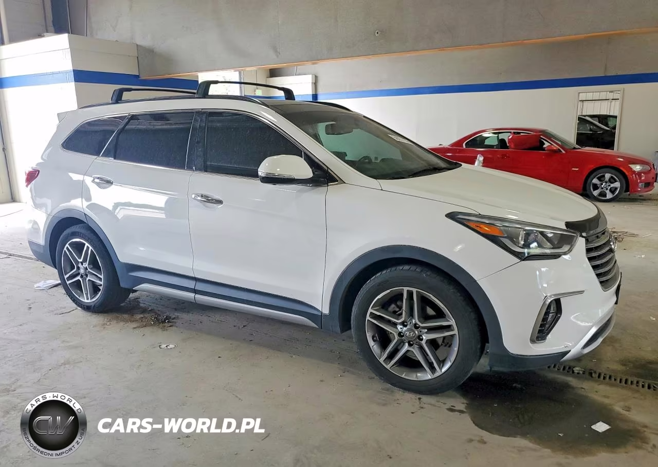 2019 Hyundai Santa Fe Xl Limited Ultimate VIN:KM8SRDHF1KU298208 - 4