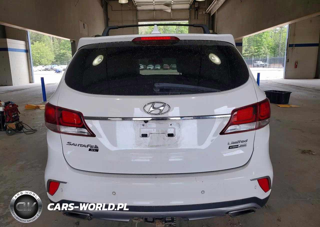 2019 Hyundai Santa Fe Xl Limited Ultimate VIN:KM8SRDHF1KU298208 - 6