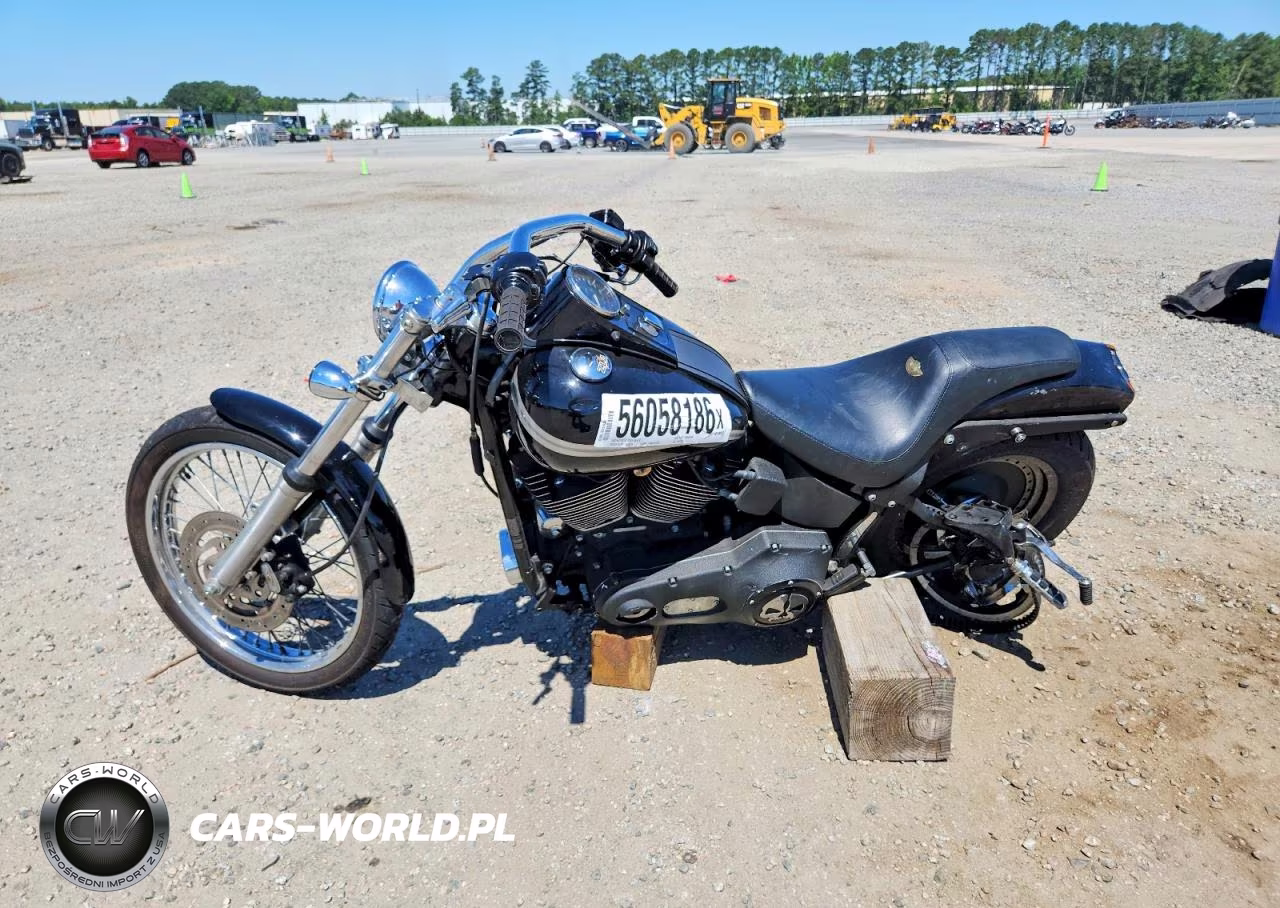 2003 Harley-Davidson Fxstbi VIN:1HD1JAB113Y107138 - 3