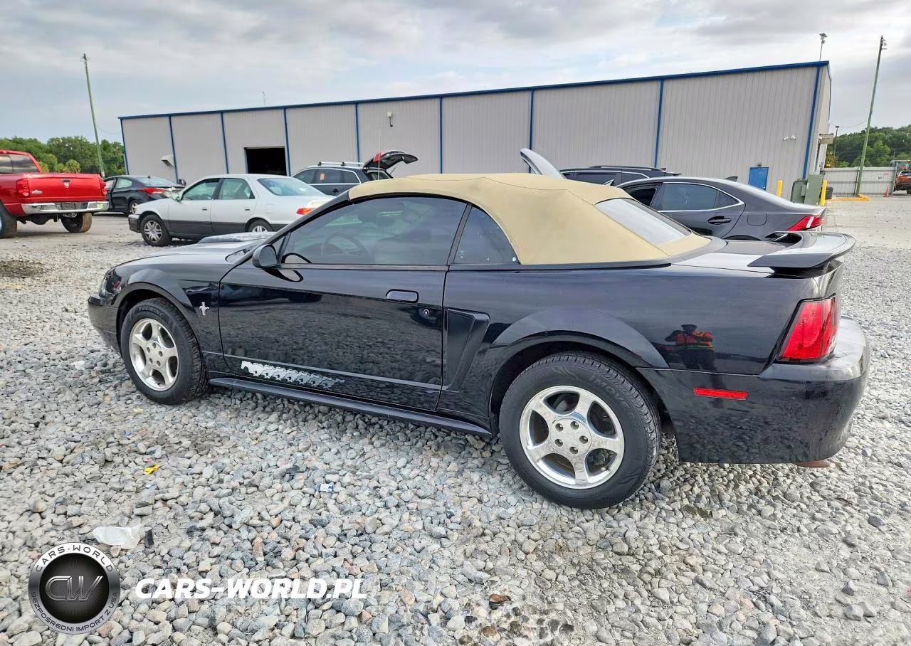 2003 Ford Mustang VIN:1FAFP44463F434862 - 2