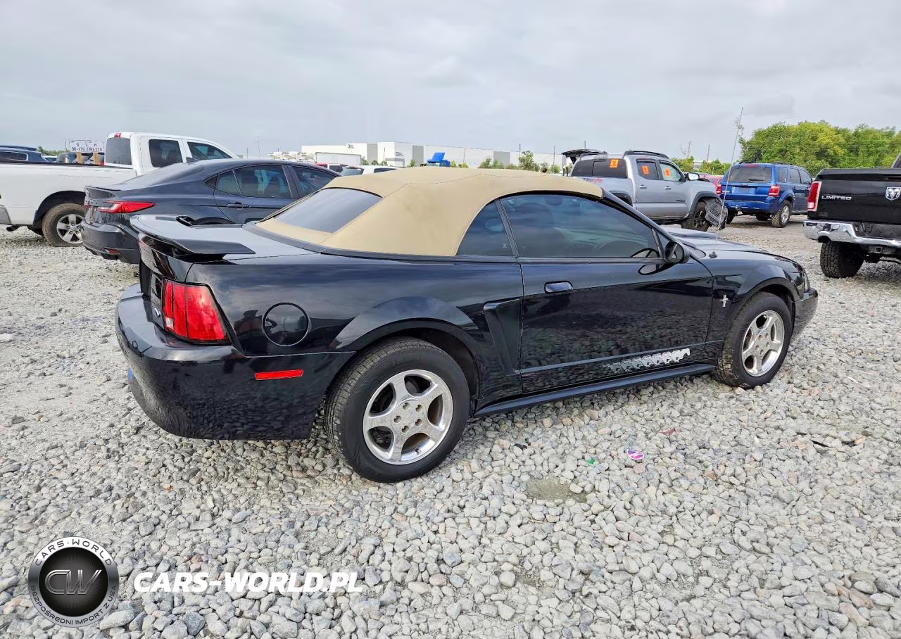 2003 Ford Mustang VIN:1FAFP44463F434862 - 3