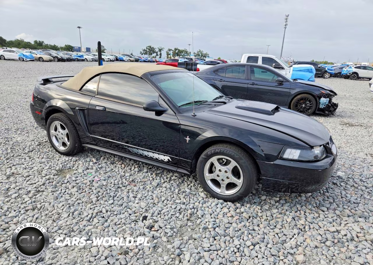 2003 Ford Mustang VIN:1FAFP44463F434862 - 4