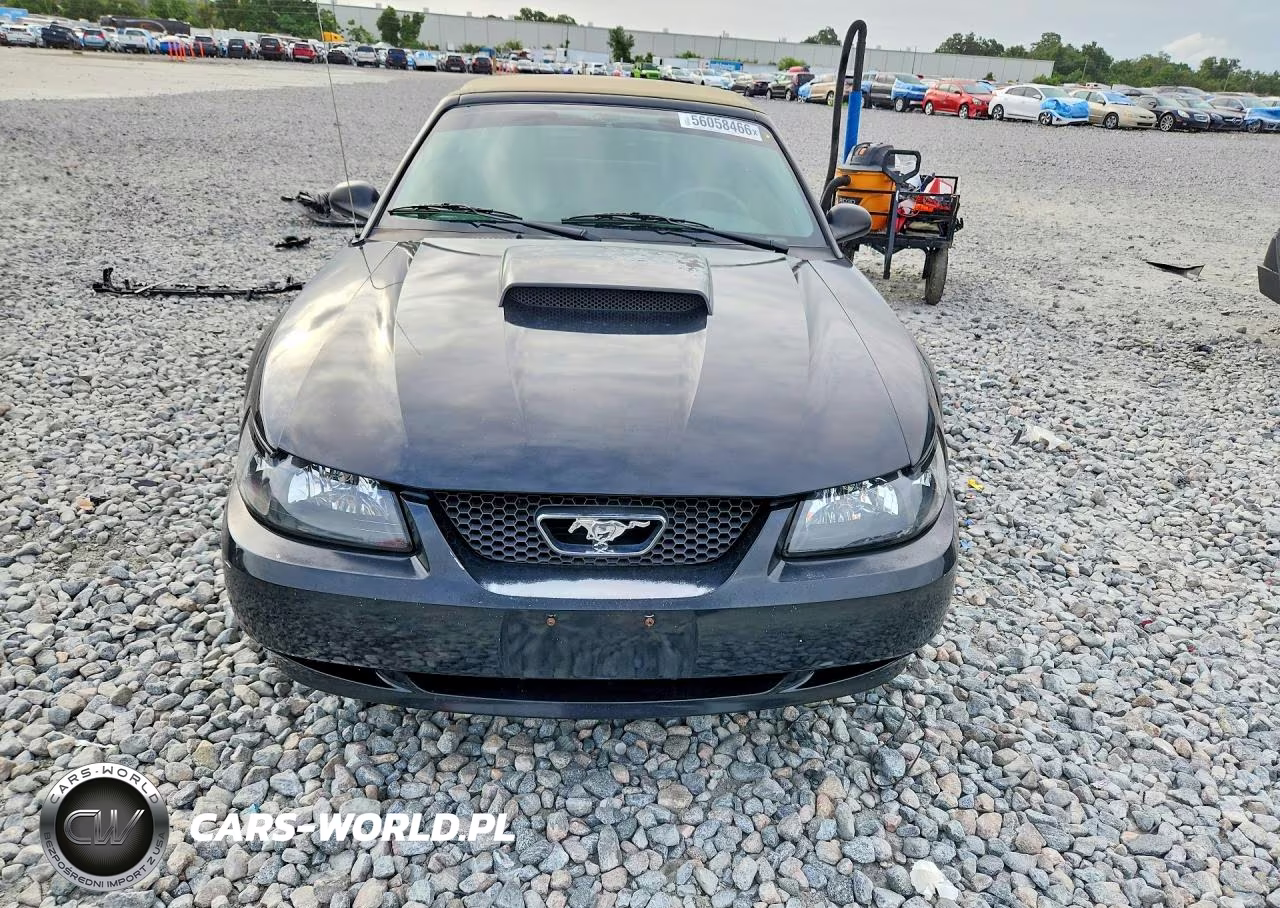 2003 Ford Mustang VIN:1FAFP44463F434862 - 5