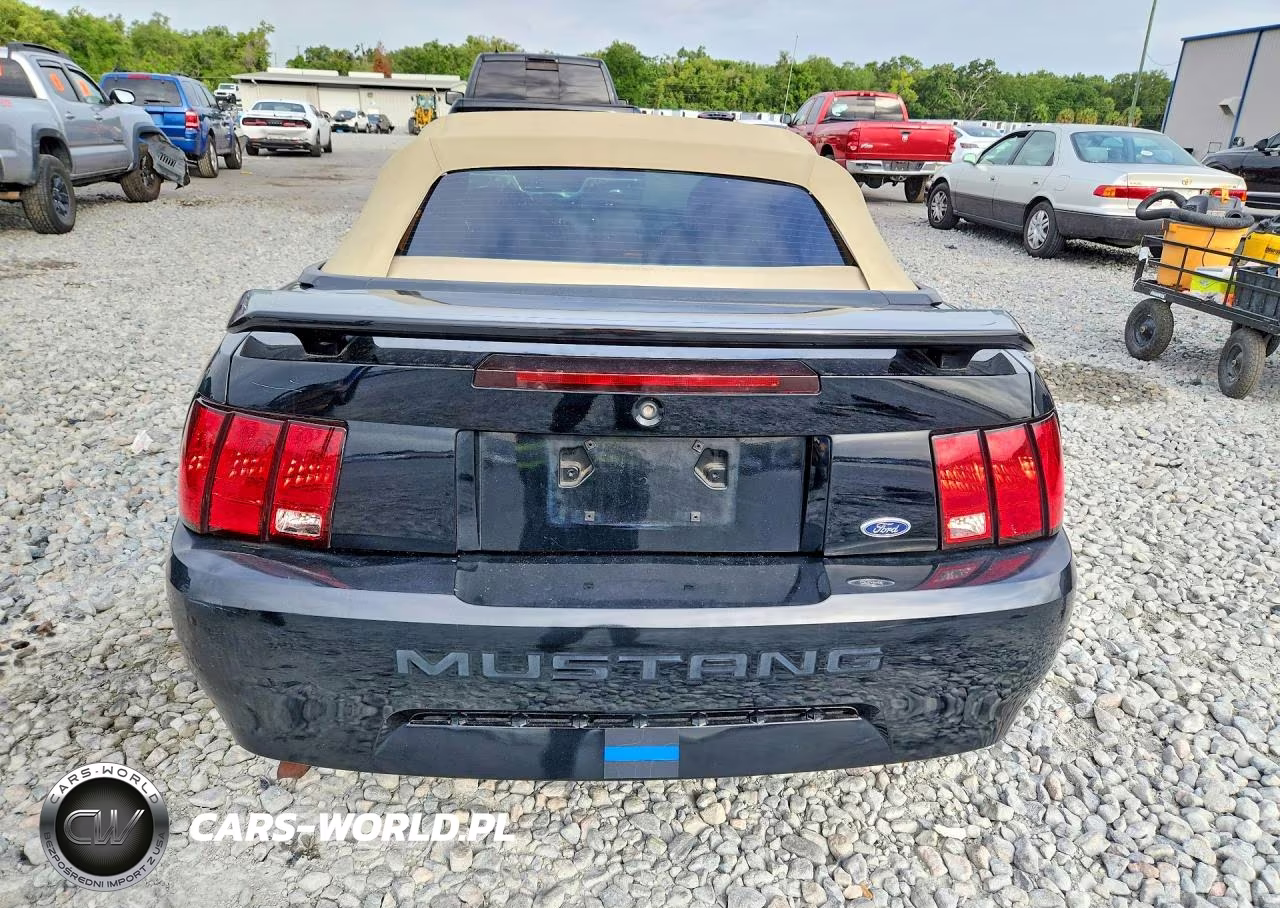 2003 Ford Mustang VIN:1FAFP44463F434862 - 6