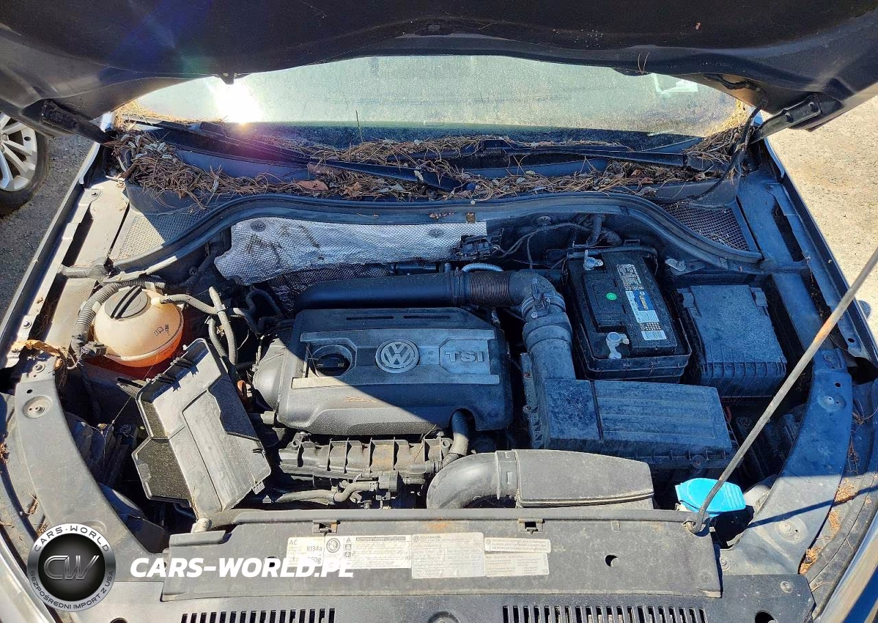 2012 Volkswagen Tiguan S VIN:WVGBV7AX1CW005705 - 12