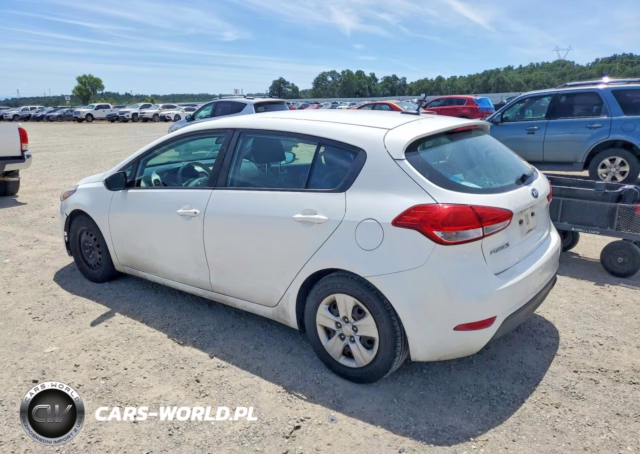2017 Kia Forte Lx VIN:KNAFK5A84H5693947 - 2