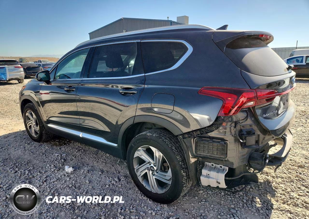 2021 Hyundai Santa Fe Sel VIN:5NMS2DAJ9MH346636 - 2