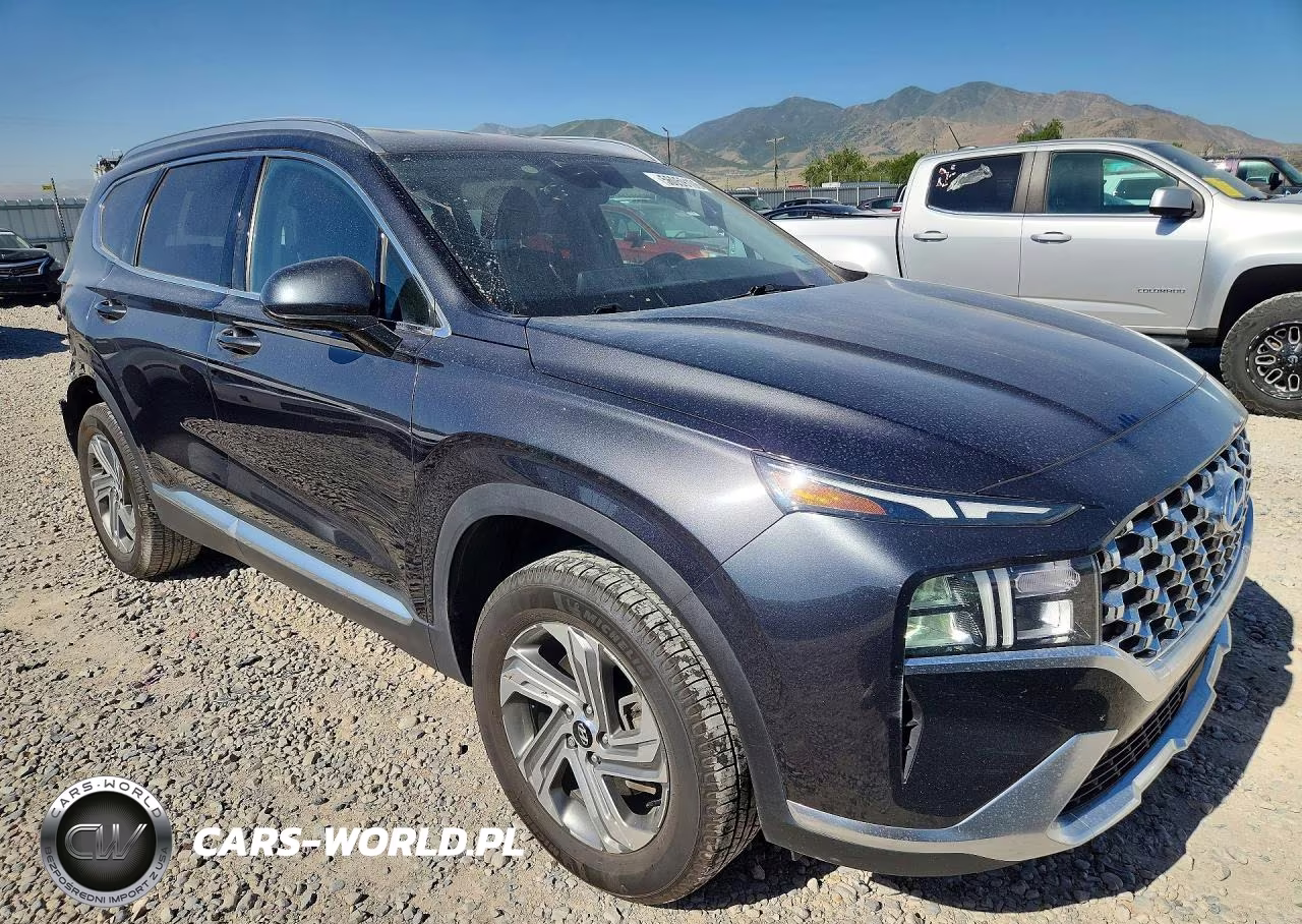 2021 Hyundai Santa Fe Sel VIN:5NMS2DAJ9MH346636 - 4