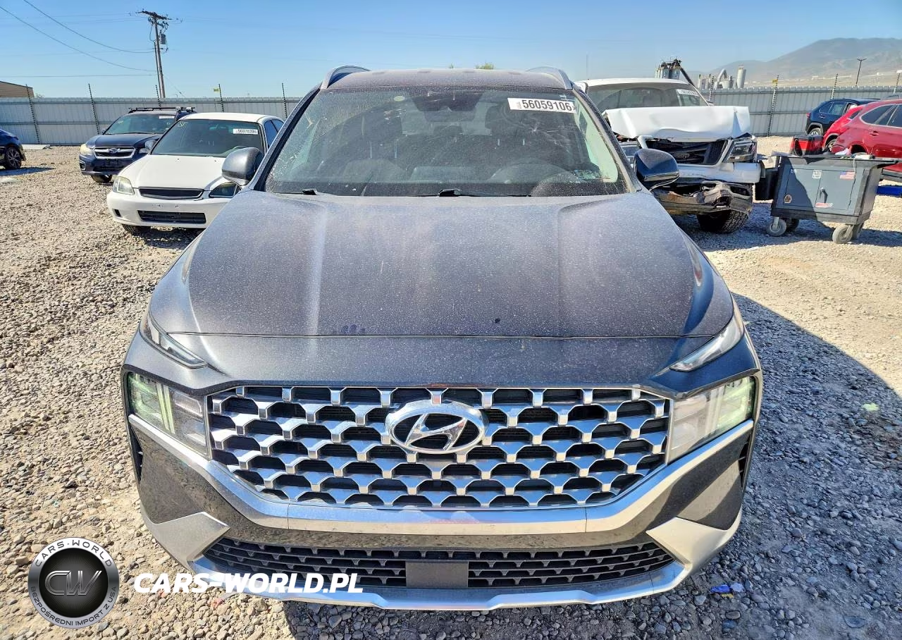 2021 Hyundai Santa Fe Sel VIN:5NMS2DAJ9MH346636 - 5