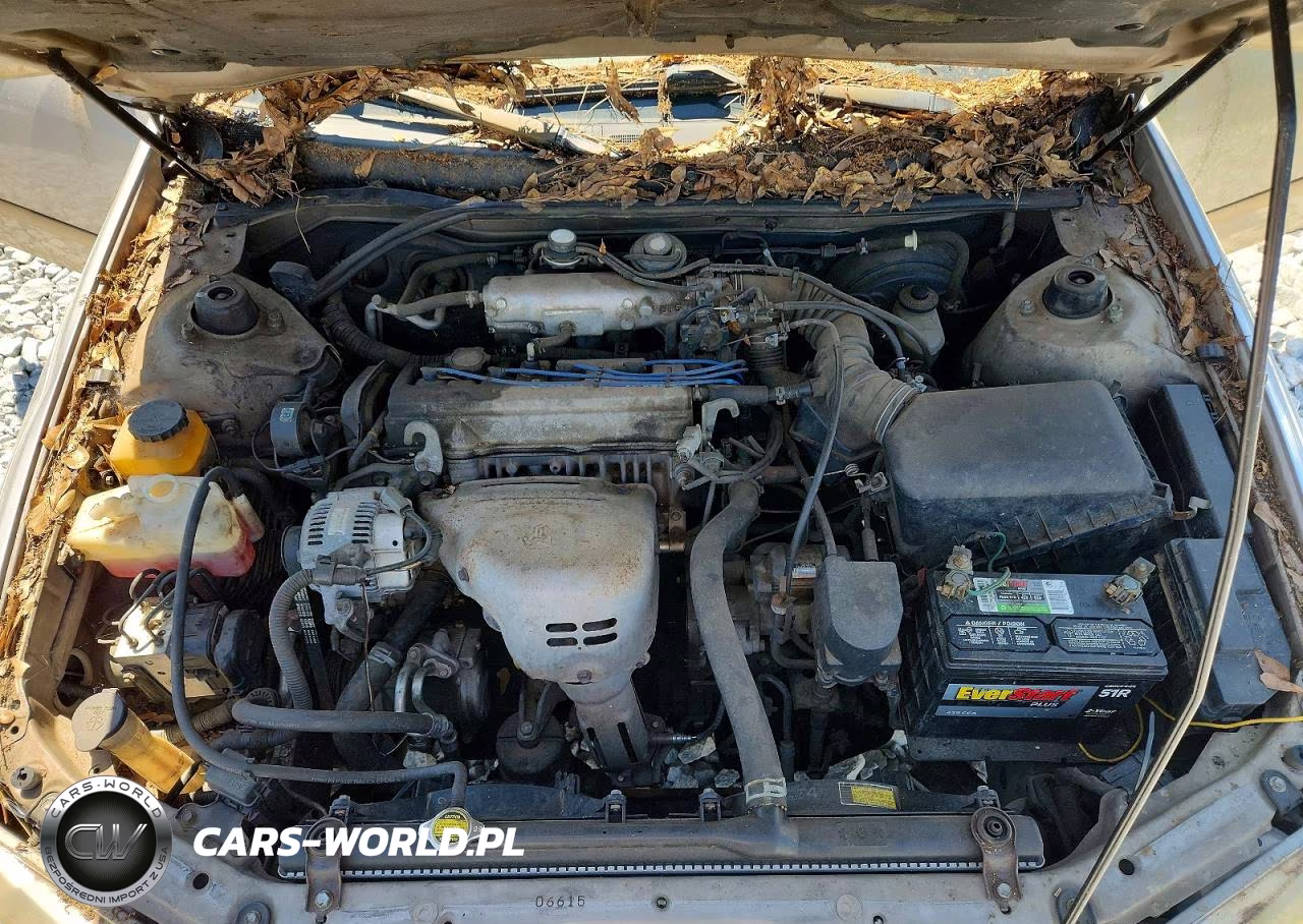 2000 Toyota Camry Le VIN:4T1BG28K2YU656111 - 11