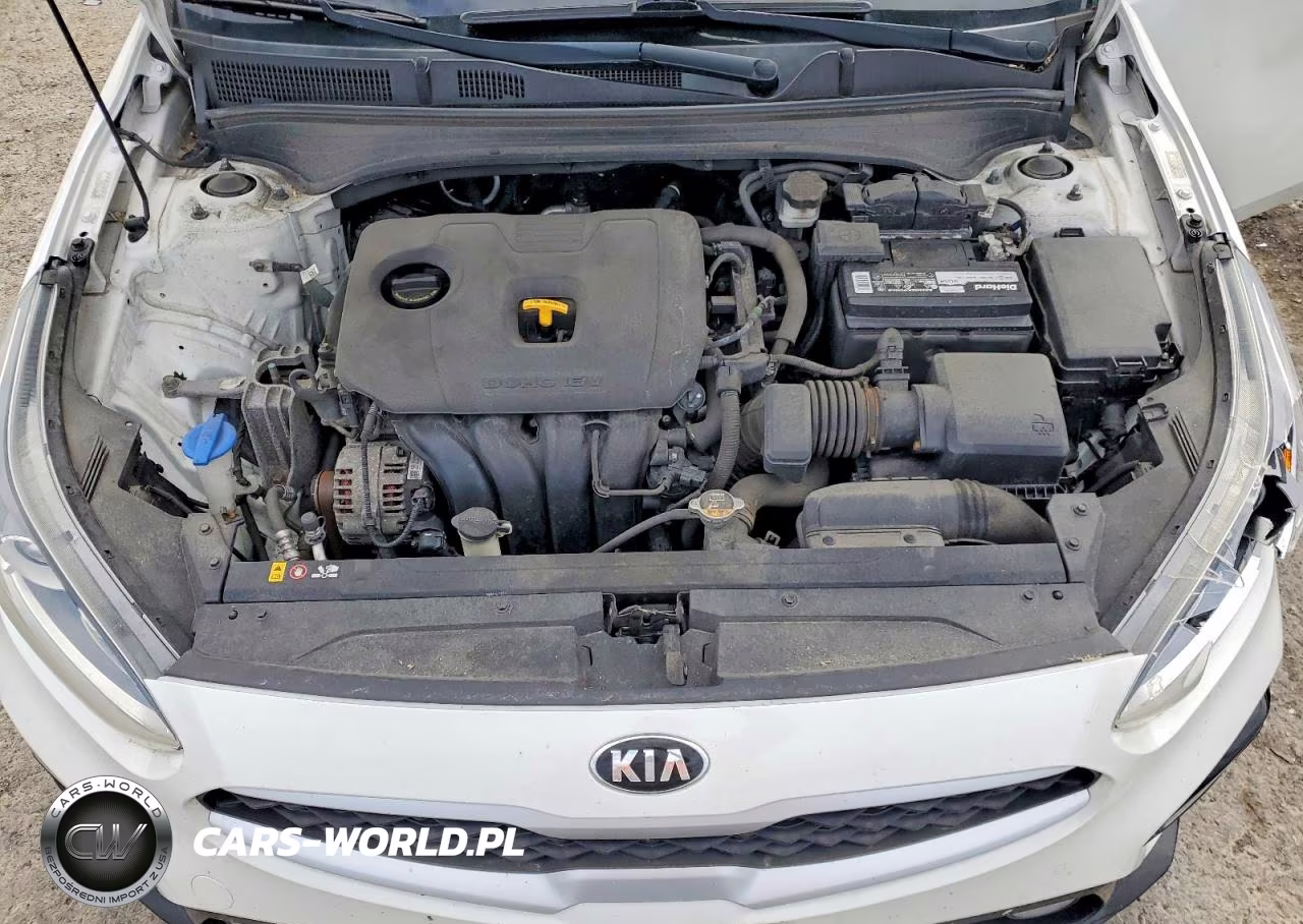 2019 Kia Forte Lxs VIN:3KPF24AD8KE089436 - 11