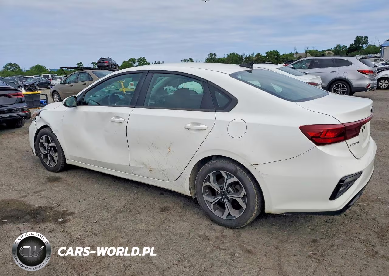 2019 Kia Forte Lxs VIN:3KPF24AD8KE089436 - 2