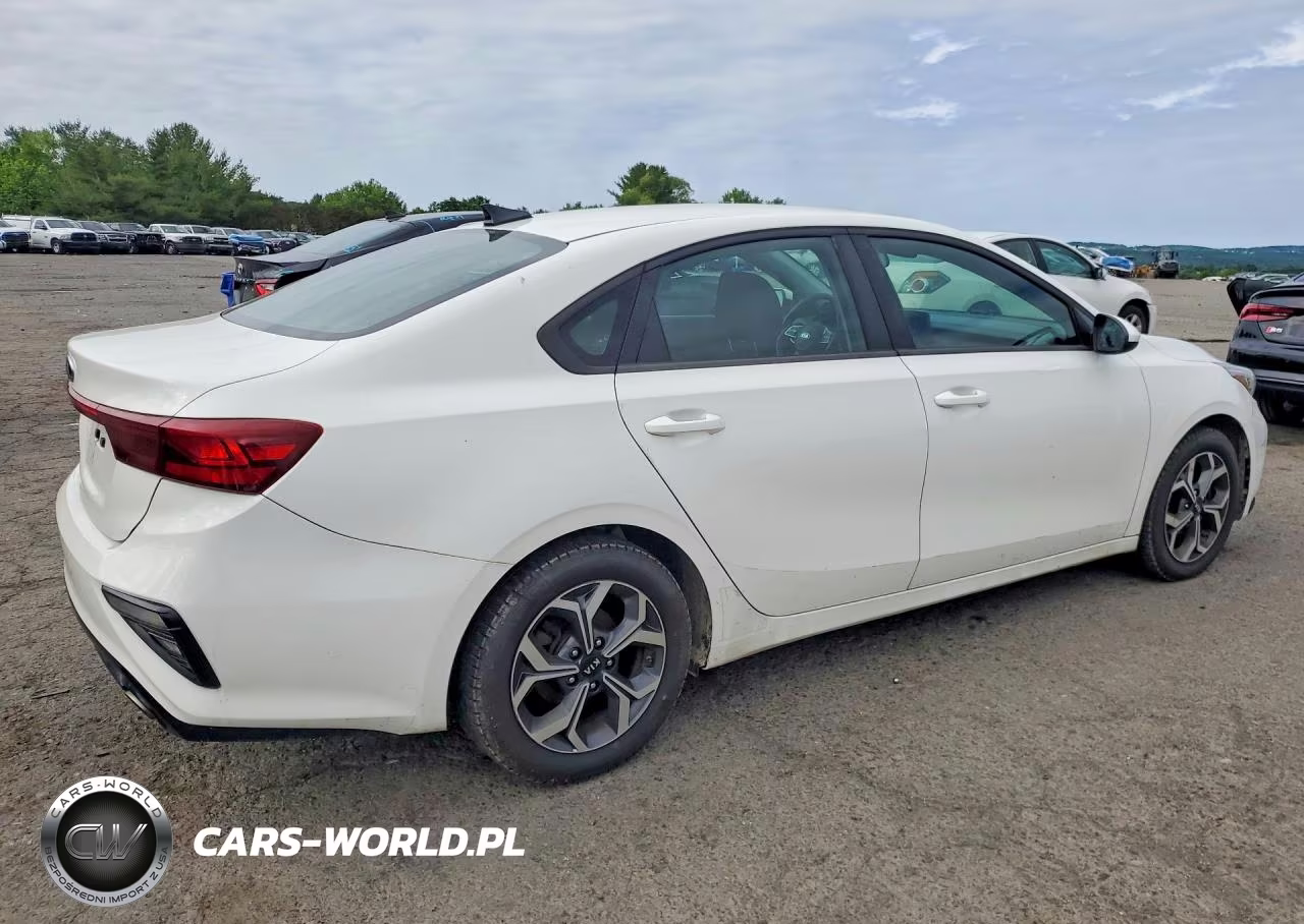 2019 Kia Forte Lxs VIN:3KPF24AD8KE089436 - 3