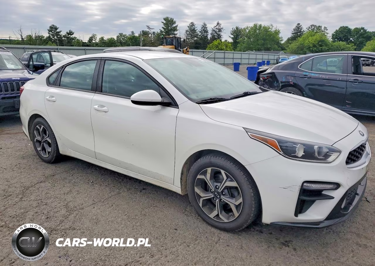 2019 Kia Forte Lxs VIN:3KPF24AD8KE089436 - 4