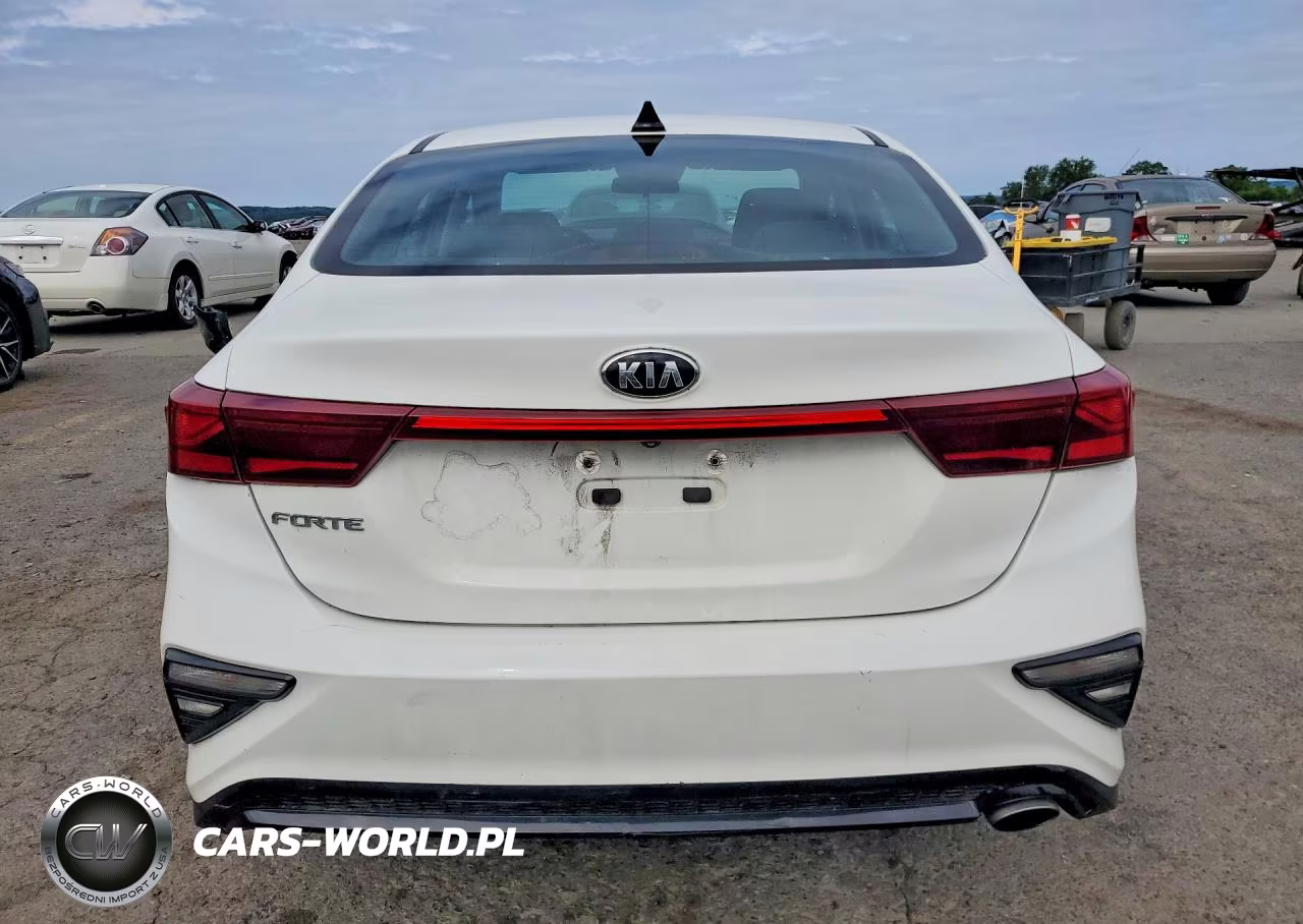 2019 Kia Forte Lxs VIN:3KPF24AD8KE089436 - 6