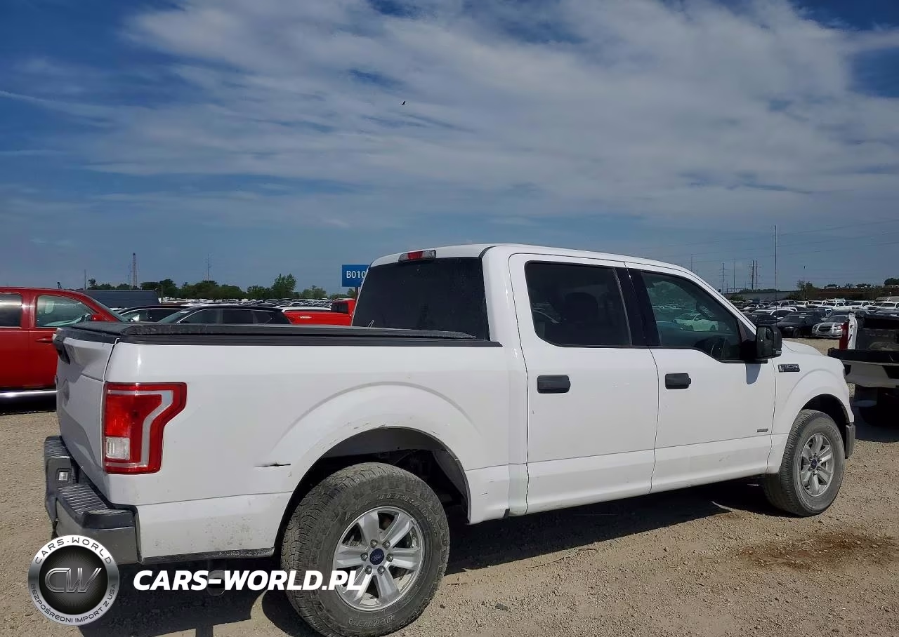 2015 Ford F150 Supercrew VIN:1FTEW1CG9FKD98812 - 3
