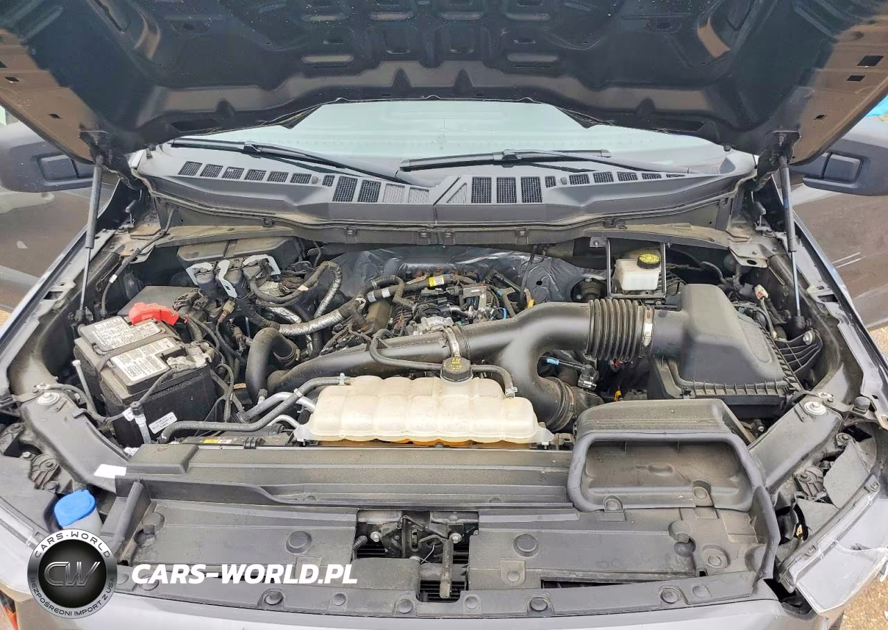 2023 Ford F150 Supercrew VIN:1FTEW1CP5PKG08923 - 11