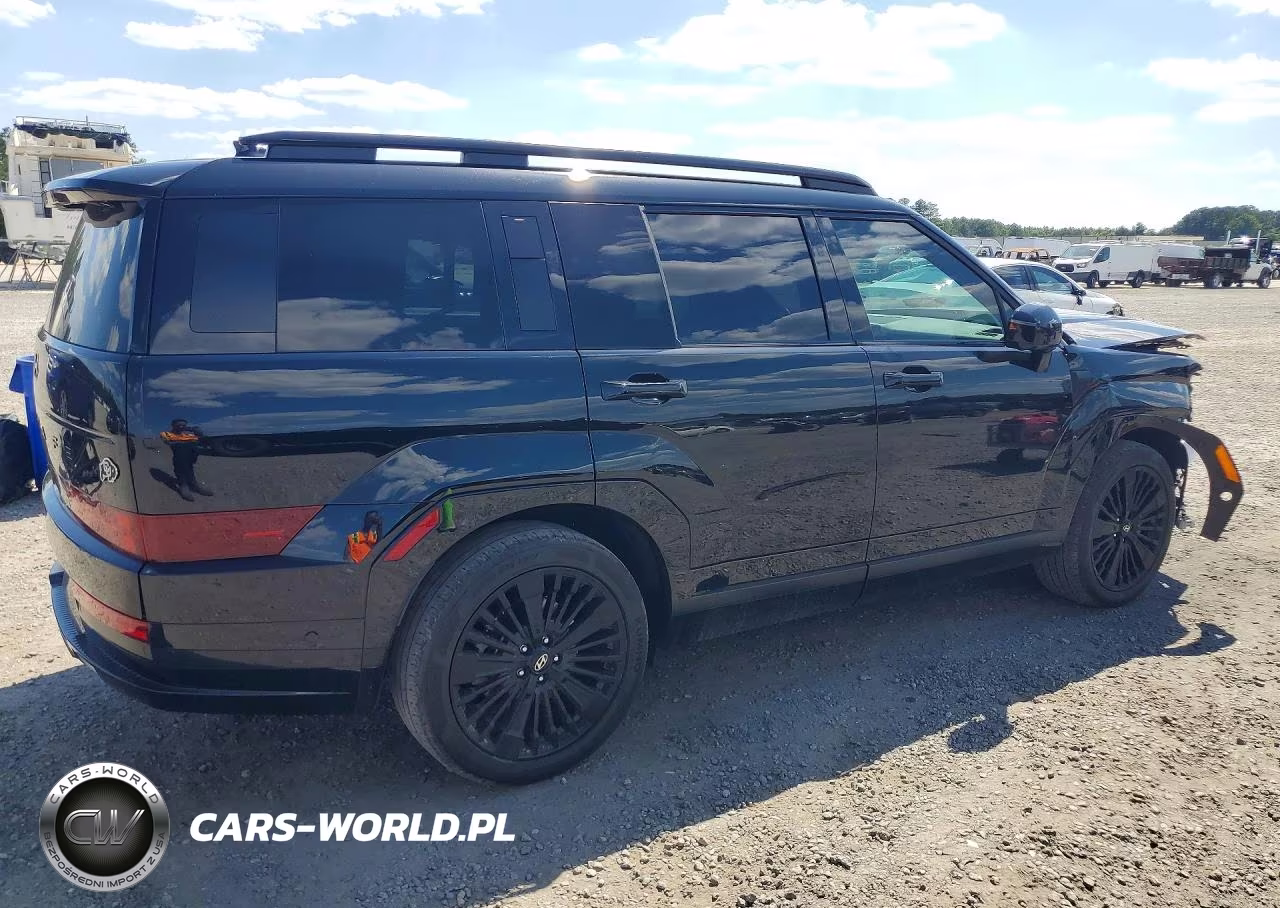 2025 Hyundai Santa Fe Calligraphy VIN:5NMP54G1XSH024671 - 3