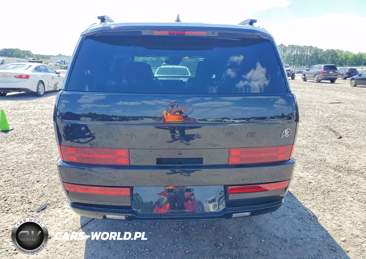 2025 Hyundai Santa Fe Calligraphy VIN:5NMP54G1XSH024671 - 6