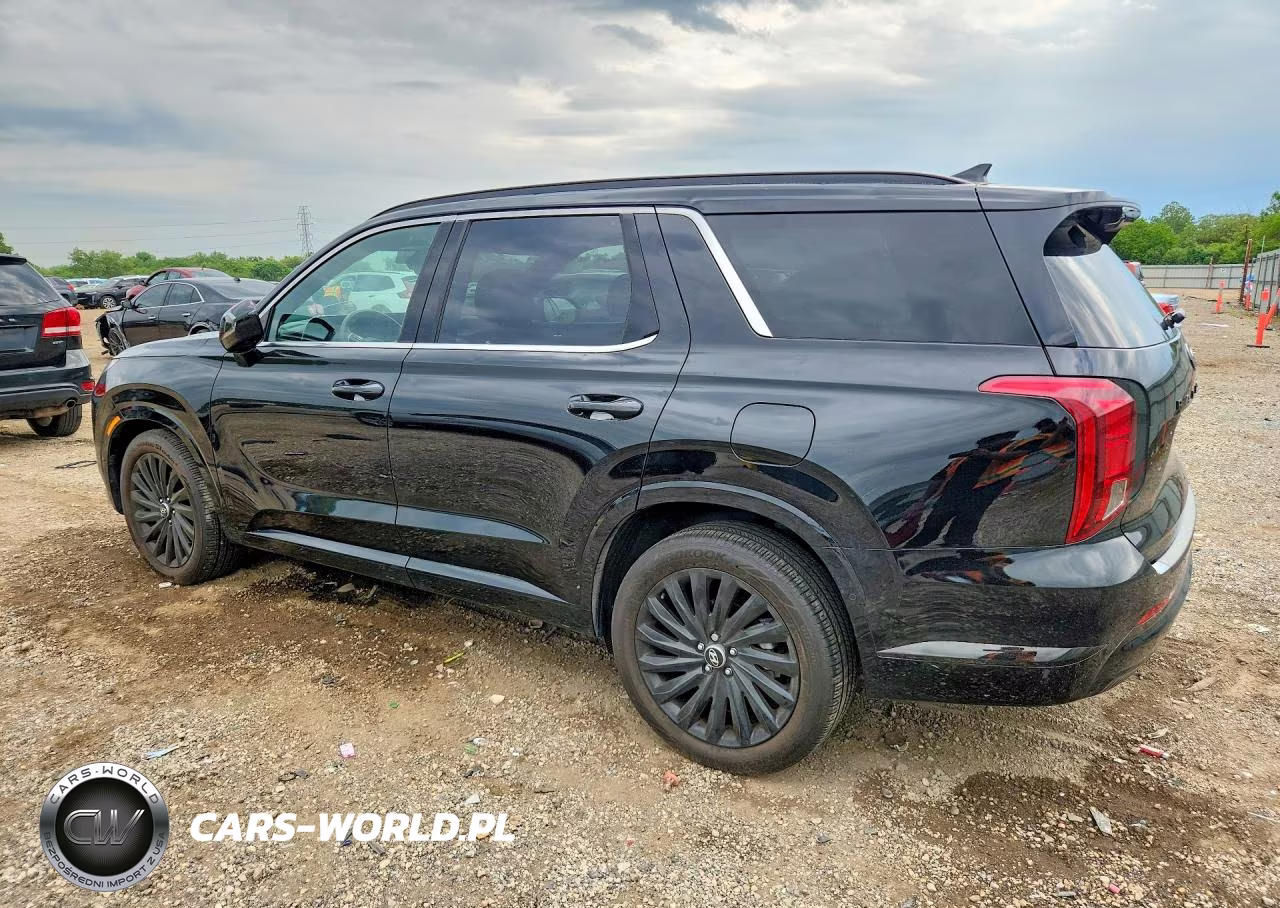 2024 Hyundai Palisade Calligraphy Night Edition VIN:KM8R7DGE3RU747606 - 2