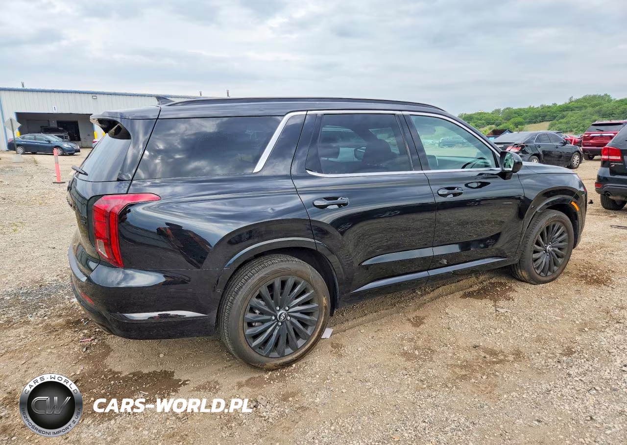 2024 Hyundai Palisade Calligraphy Night Edition VIN:KM8R7DGE3RU747606 - 3