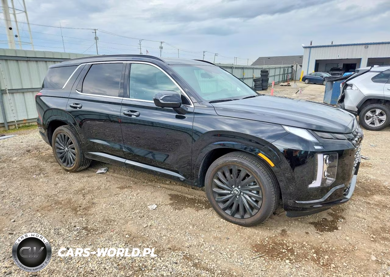 2024 Hyundai Palisade Calligraphy Night Edition VIN:KM8R7DGE3RU747606 - 4