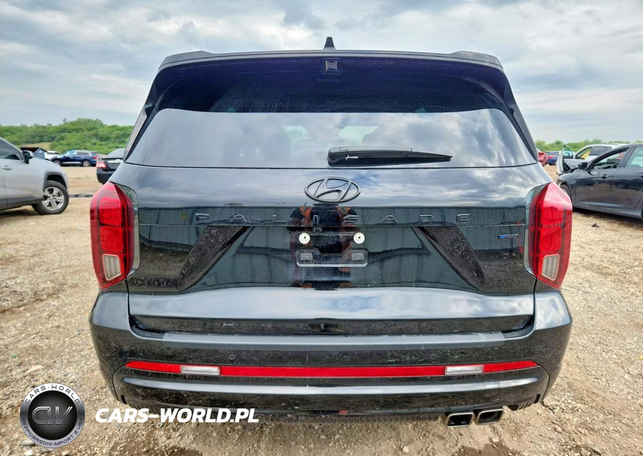 2024 Hyundai Palisade Calligraphy Night Edition VIN:KM8R7DGE3RU747606 - 6