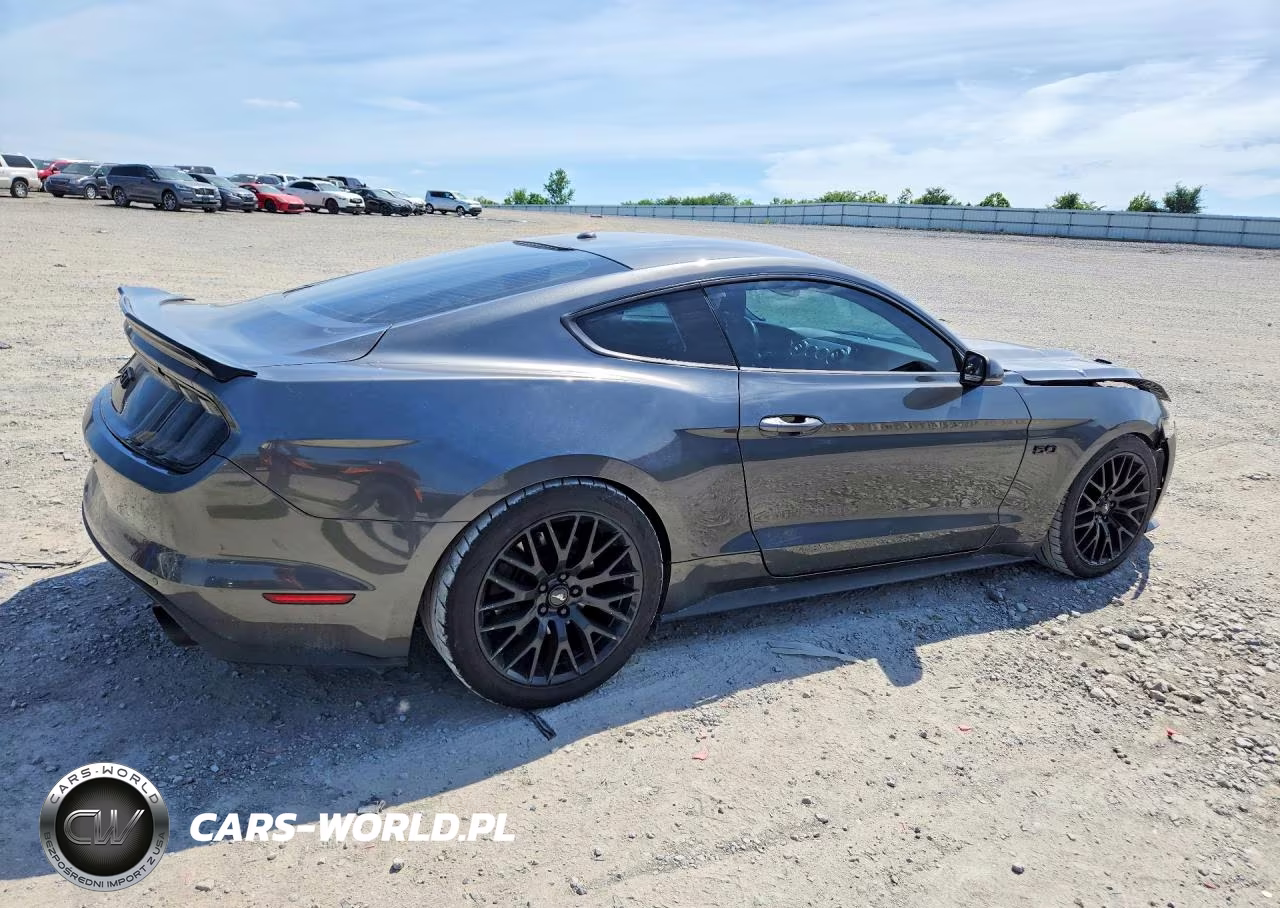 2017 Ford Mustang Gt VIN:1FA6P8CF4H5226681 - 3