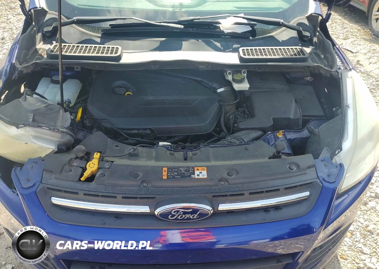2014 Ford Escape Se VIN:1FMCU0GX6EUE39848 - 11