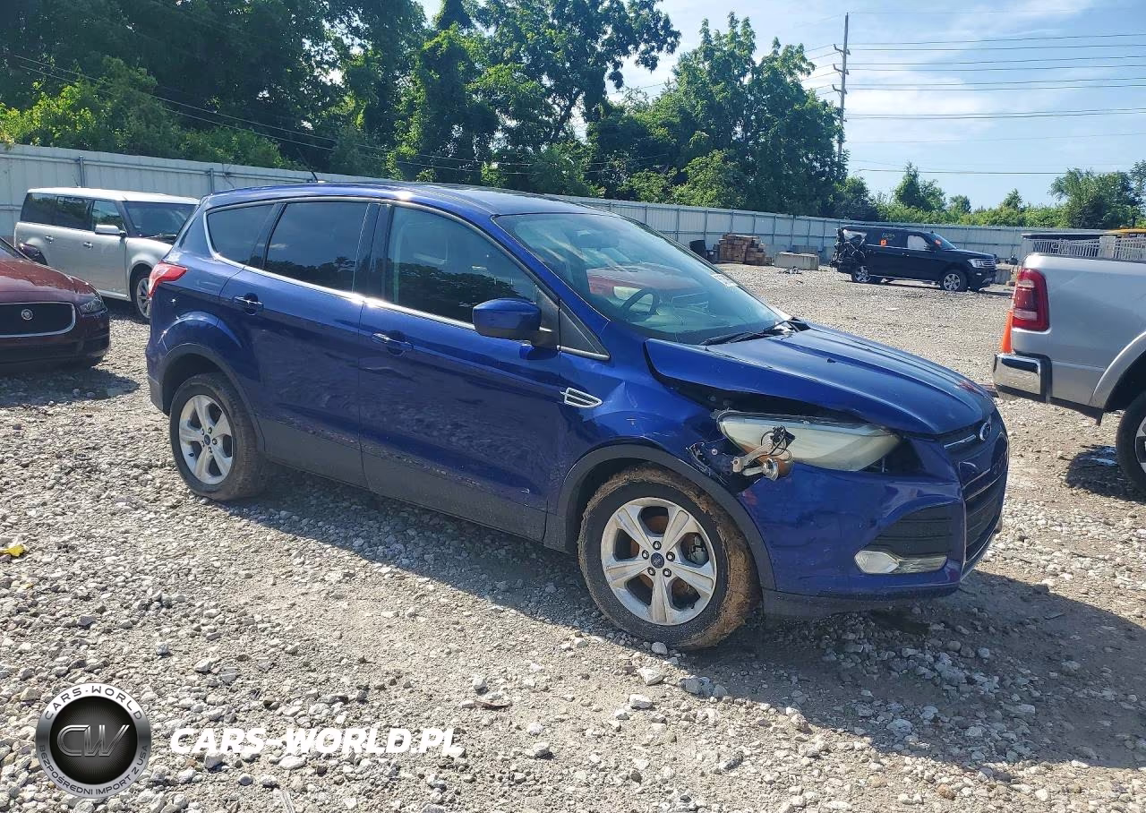 2014 Ford Escape Se VIN:1FMCU0GX6EUE39848 - 4