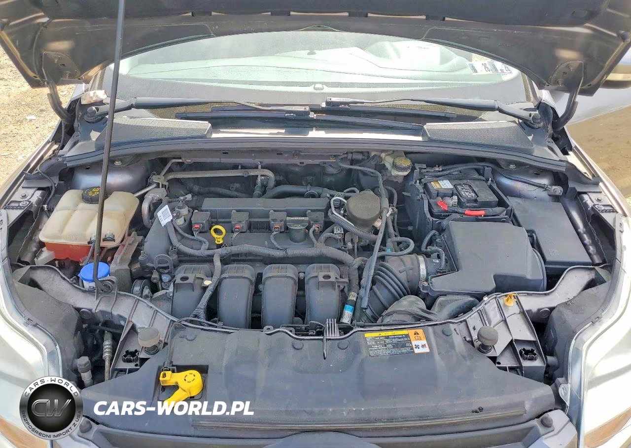 2014 Ford Focus Se VIN:1FADP3F20EL251233 - 11