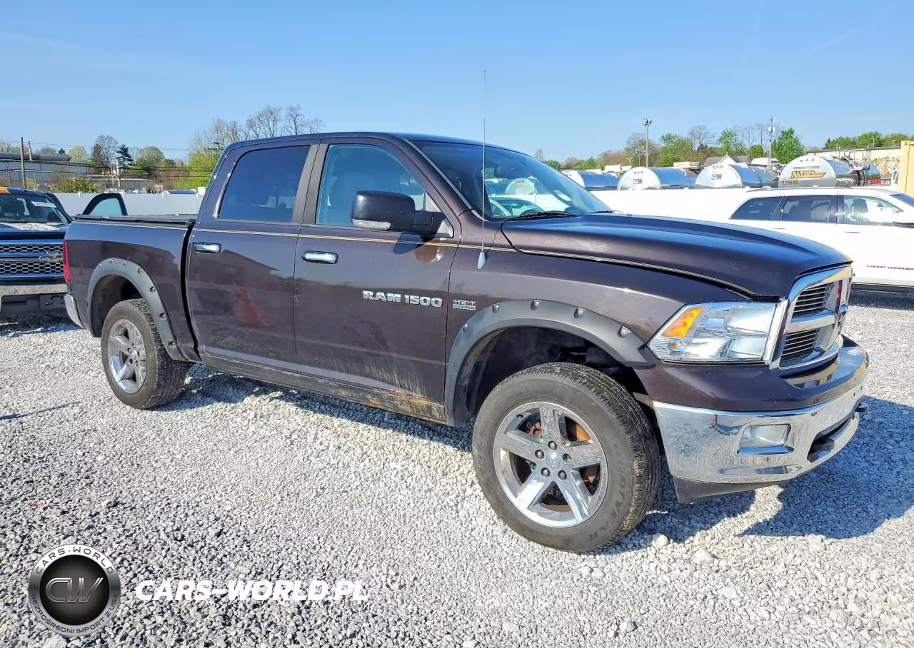 2011 Dodge Ram 1500 VIN:1D7RV1CTXBS546337 - 4